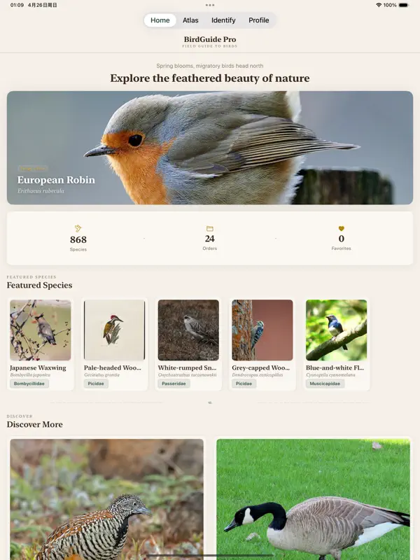 Bird Guide – Offline Guide screen 1