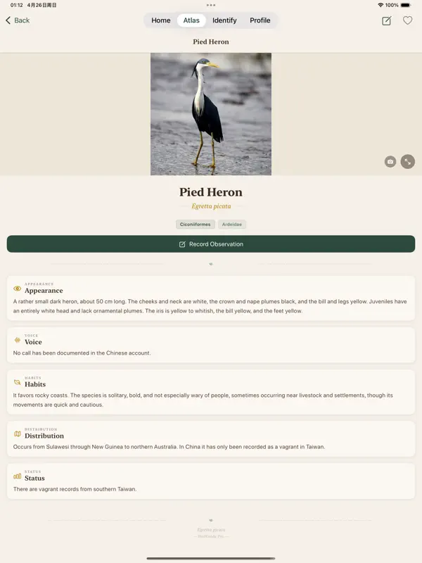 Bird Guide – Offline Guide screen 2