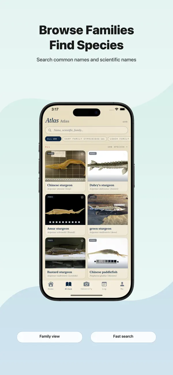 Fish Identifier Offline screen 2