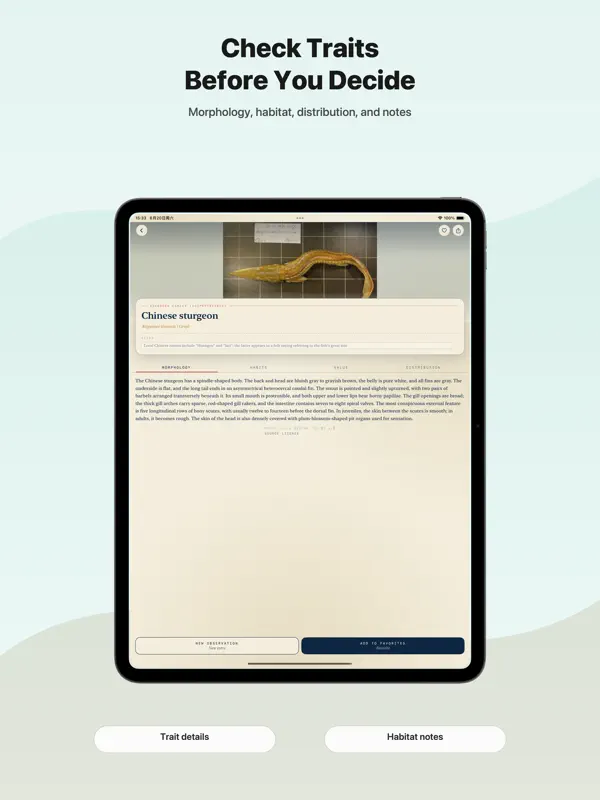 Fish Identifier Offline screen 3