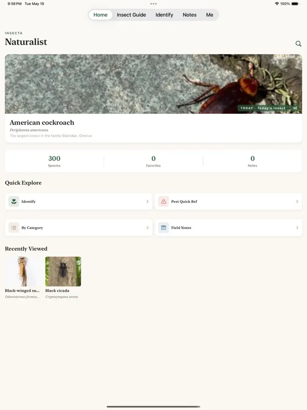 Insect Guide: Offline ID screen 1