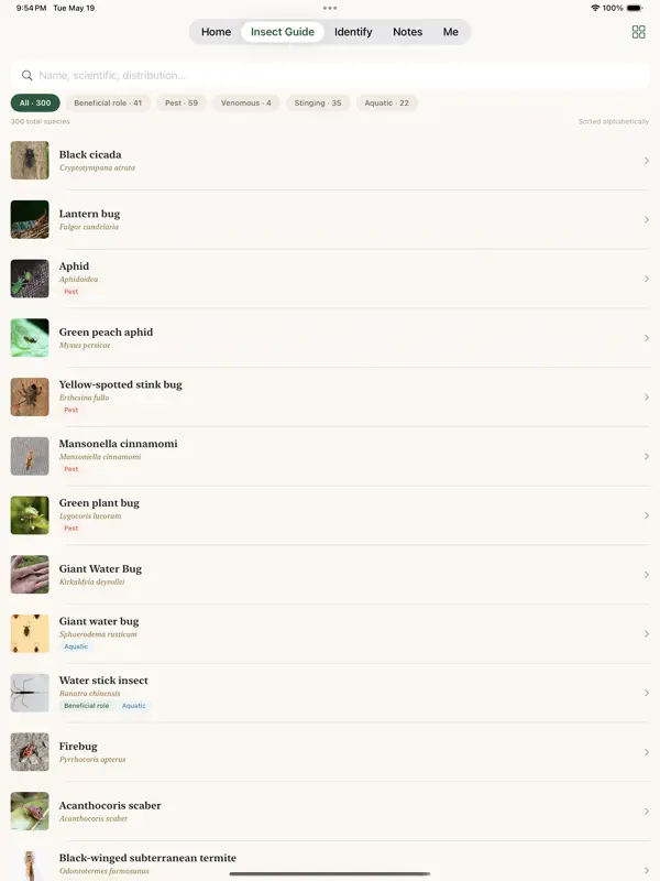Insect Guide: Offline ID screen 2