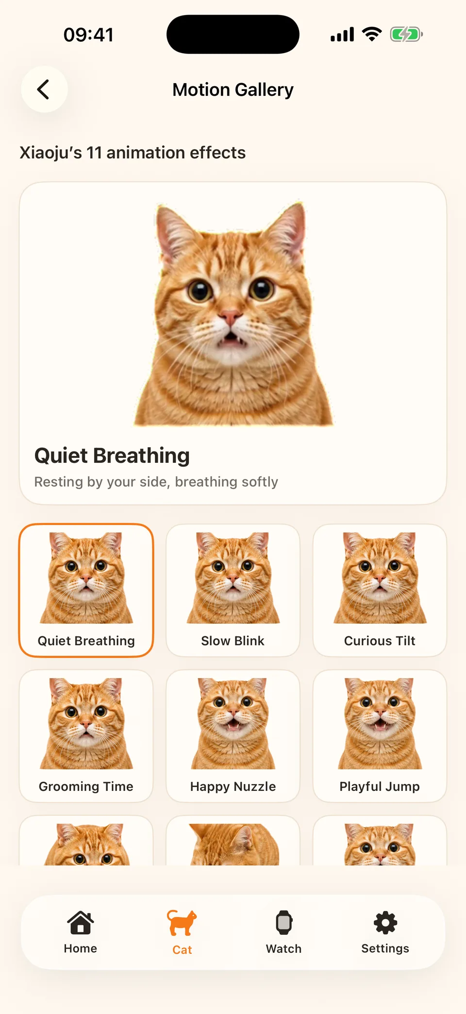 WatchCat Step Pet: Bewegungsgalerie