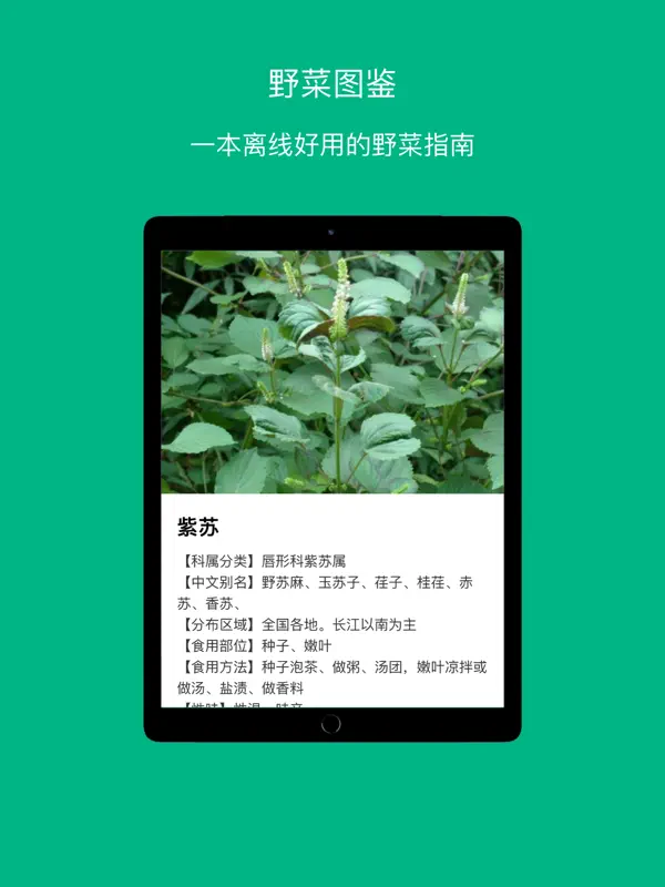 Wild Vegetables Guide screen 1