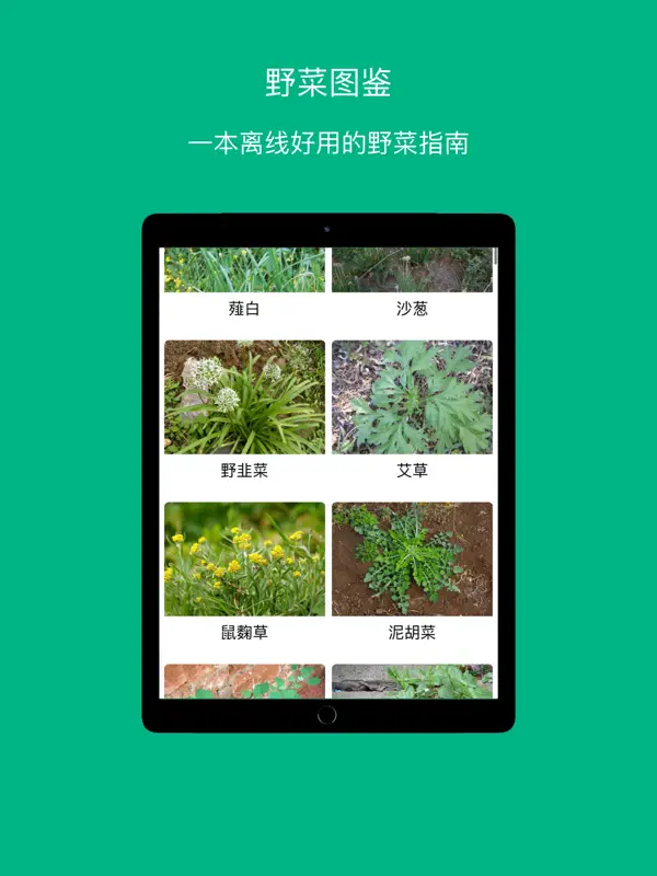 Wild Vegetables Guide screen 3
